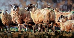Evening Flock by Debbie Boon - Limited Edition on Canvas sized 42x22 inches. Available from Whitewall Galleries